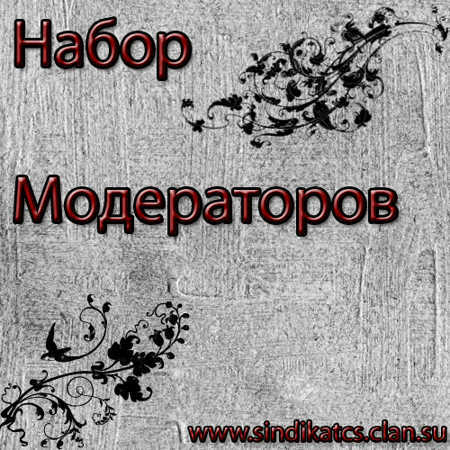 Набор модераторов. Посвящение в модераторы. Модеры его представители. Модерах в цвете.